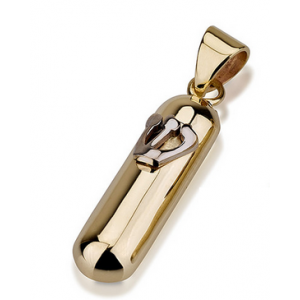14k Yellow Gold Rounded Mezuzah Pendant with Hebrew Shin in Shiny White Gold  Collares y Colgantes