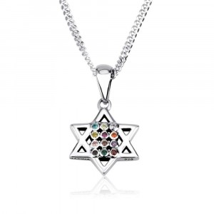 925 Sterling Silver Star of David with Hoshen Pendant and Stones
 Collares y Colgantes