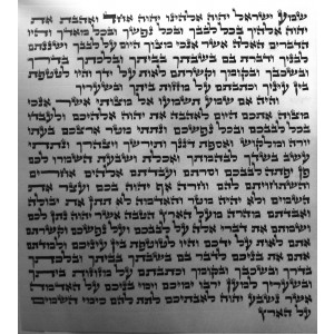 Ashkenazi (Ari) Mezuzah Scroll, 15 cm Judaíca
