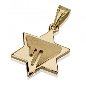 Star of David Pendant with Chai Design in 14k Yellow Gold Default Category