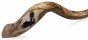 Shofar de Kudu da Tradição Iemenita Pintado à Mão com Design de Animais (Médio)